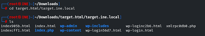 Files in the local website mirror