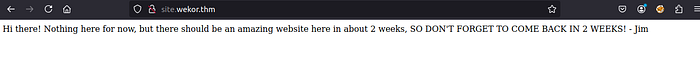 Wekor subdomain response